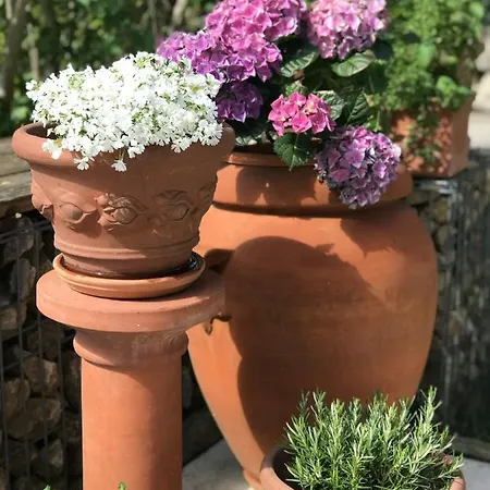 Villa Architektenhaus Mit Bergblick 220qm+terasse/garten *