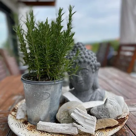 Villa Architektenhaus Mit Bergblick 220qm+terasse/garten *
