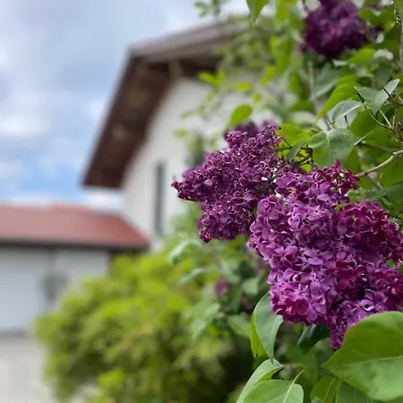 Villa Architektenhaus Mit Bergblick 220qm+terasse/garten Irschenberg